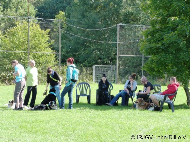Hunderallye_20170813