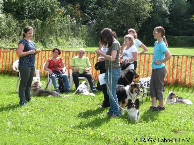Hunderallye_20170813