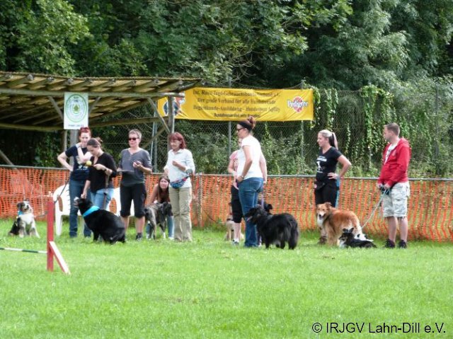Hunderallye_20170813