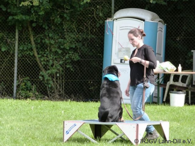 Hunderallye_20170813
