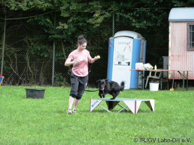 Hunderallye_20170813