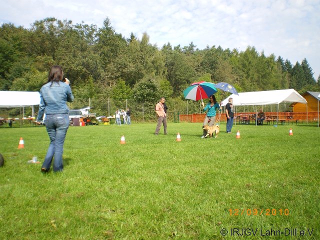 Sommerfest 2010