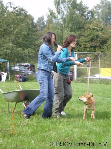 Sommerfest 2010