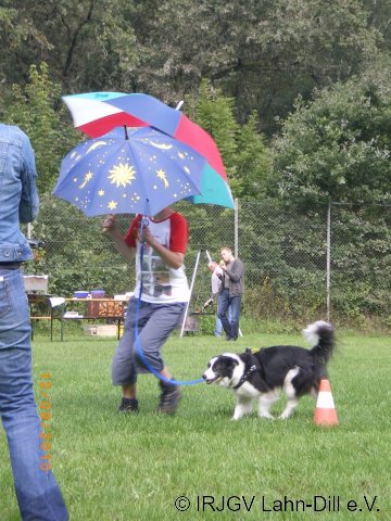 Sommerfest 2010