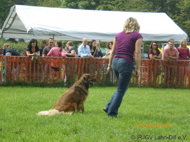 Sommerfest 2010