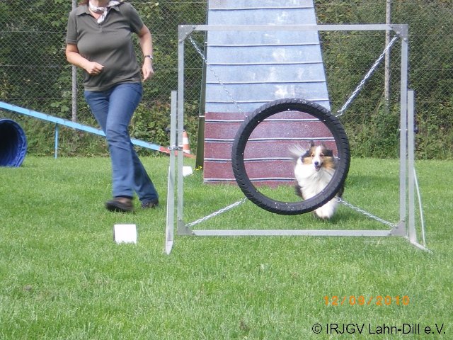 Sommerfest 2010