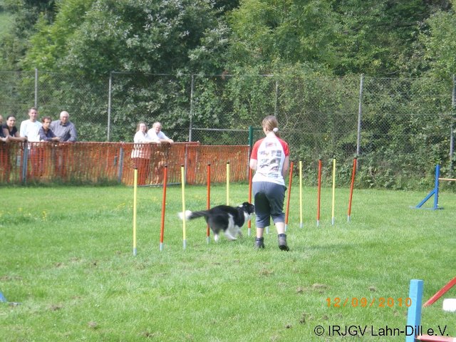 Sommerfest 2010