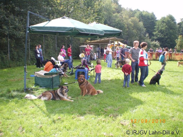 Sommerfest 2010