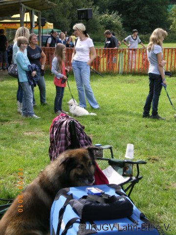 Sommerfest 2010