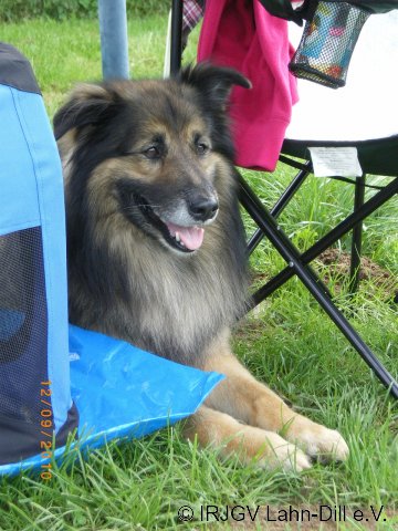 Sommerfest 2010