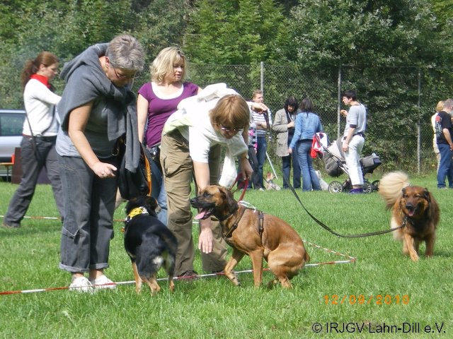 Sommerfest 2010