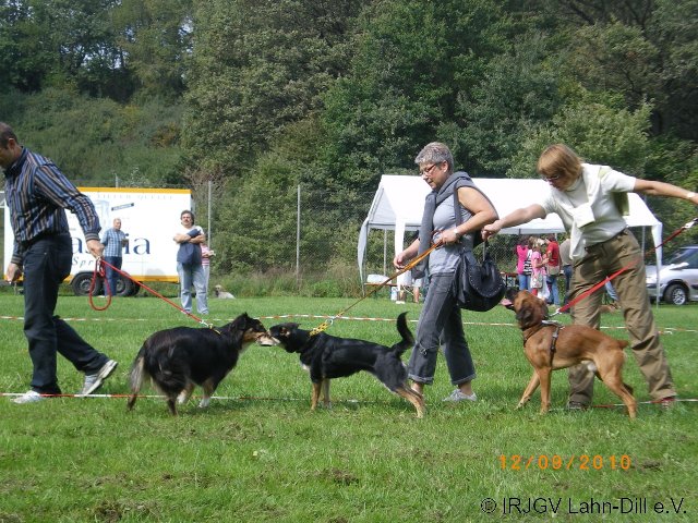 Sommerfest 2010