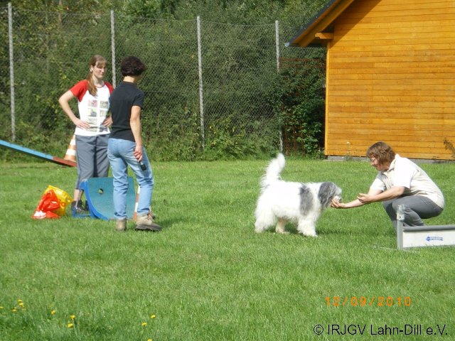 Sommerfest 2010