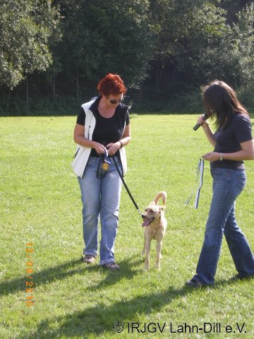 Sommerfest 2010