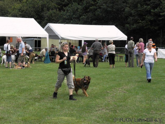 Sommerfest 2011