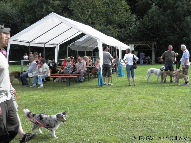 Sommerfest 2011