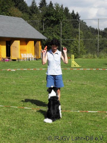 Sommerfest 2011