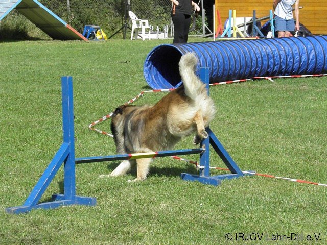 Sommerfest 2011