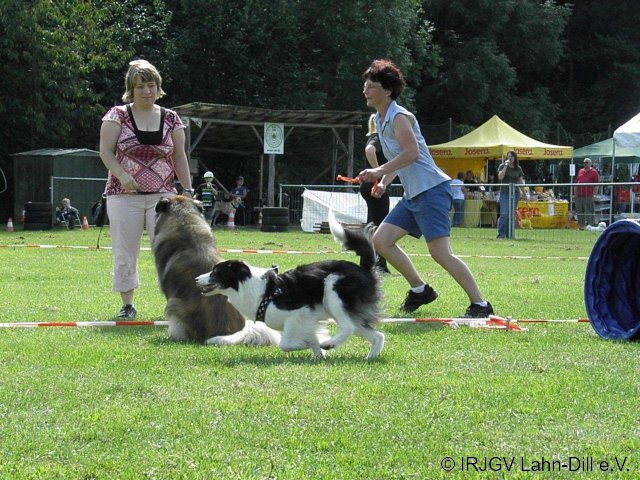 Sommerfest 2011