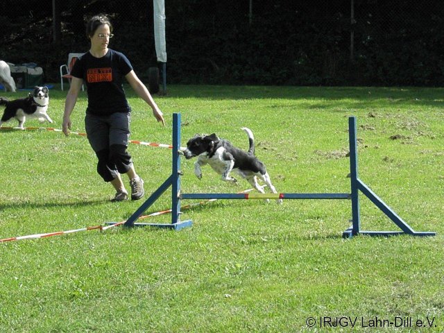 Sommerfest 2011