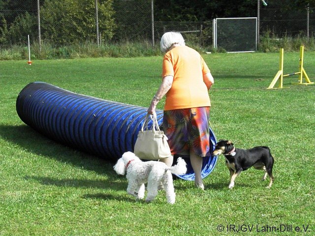 Sommerfest 2011