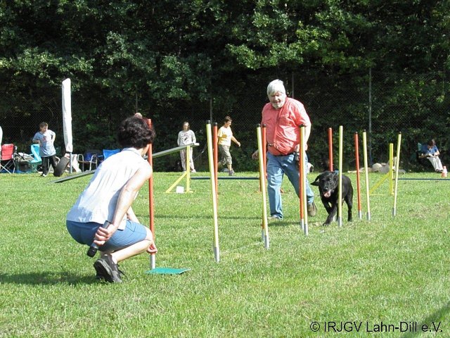 Sommerfest 2011