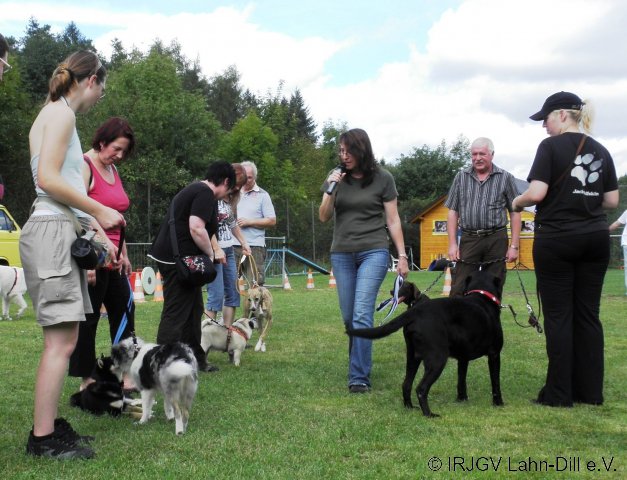Sommerfest 2011