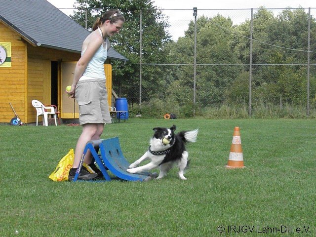 Sommerfest 2011