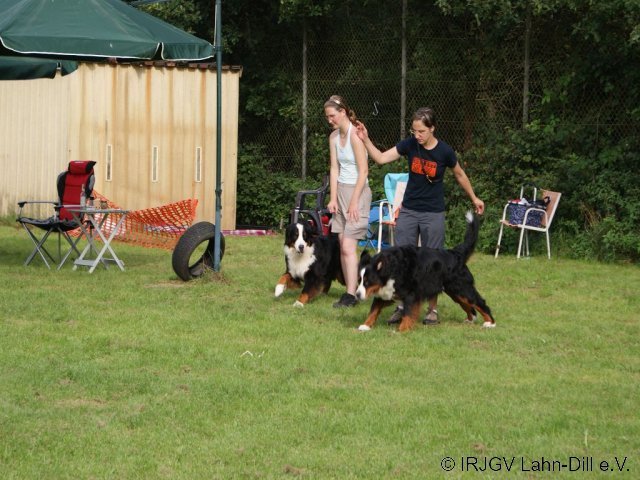 Sommerfest 2011