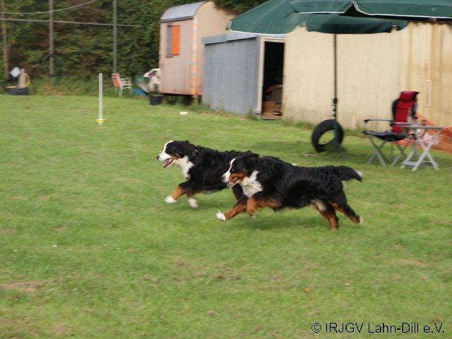 Sommerfest 2011