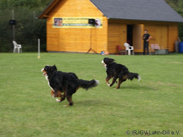 Sommerfest 2011