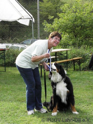 Sommerfest 2011