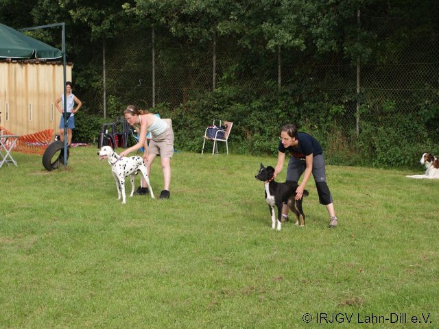Sommerfest 2011