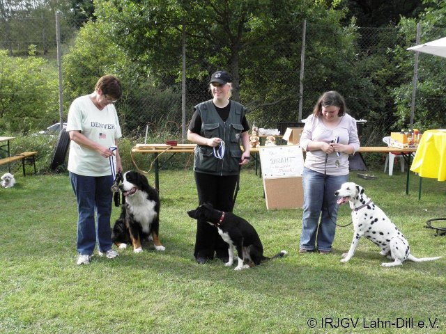 Sommerfest 2011
