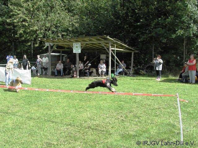 Sommerfest 2011