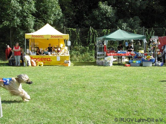 Sommerfest 2011