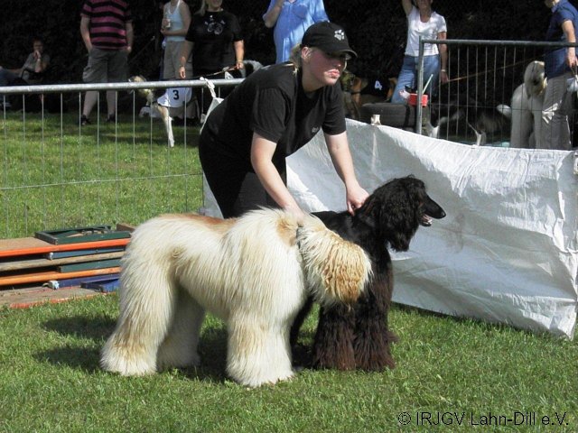 Sommerfest 2011
