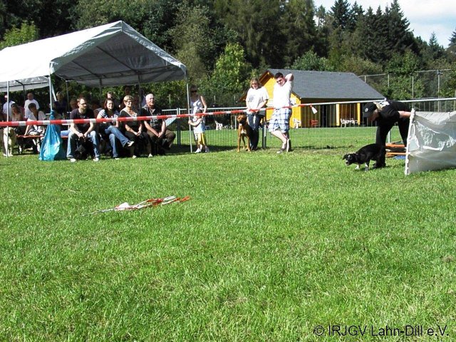 Sommerfest 2011