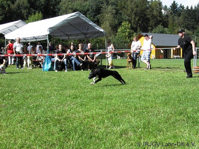 Sommerfest 2011
