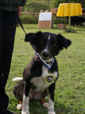 Sommerfest 2011