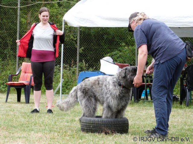 TrickSeminar_20170625