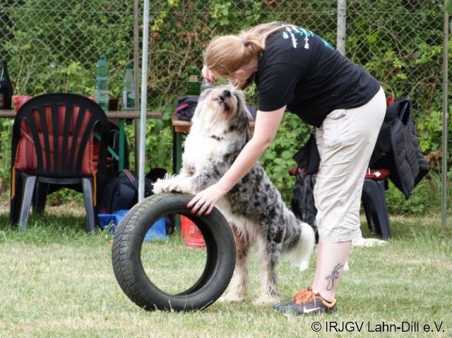 TrickSeminar_20170625