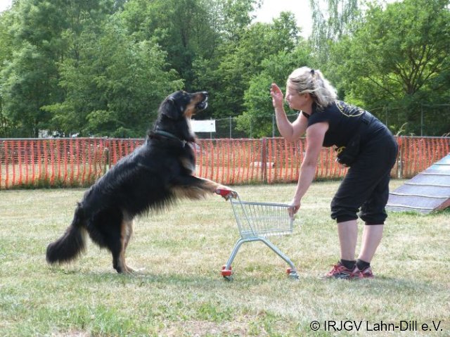 TrickSeminar_20170625