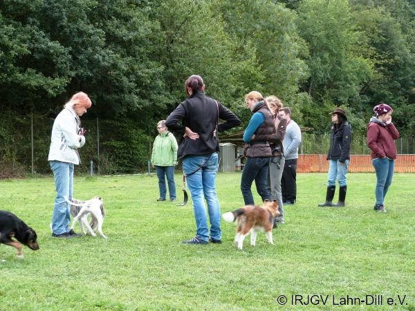 Welpen 15.08.2015
