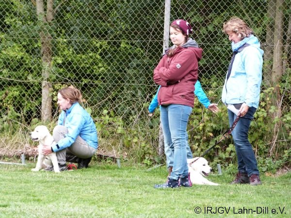 Welpen 15.08.2015