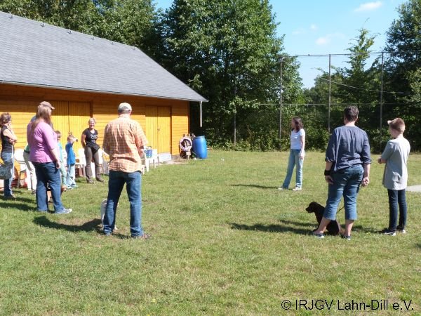 Welpen 07.08.2016