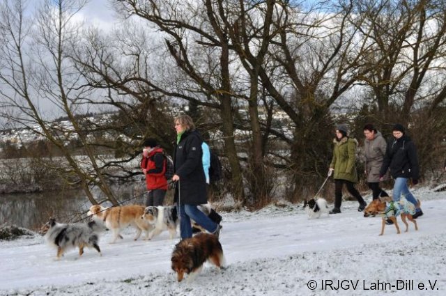 Winterwanderung 17.01.2016