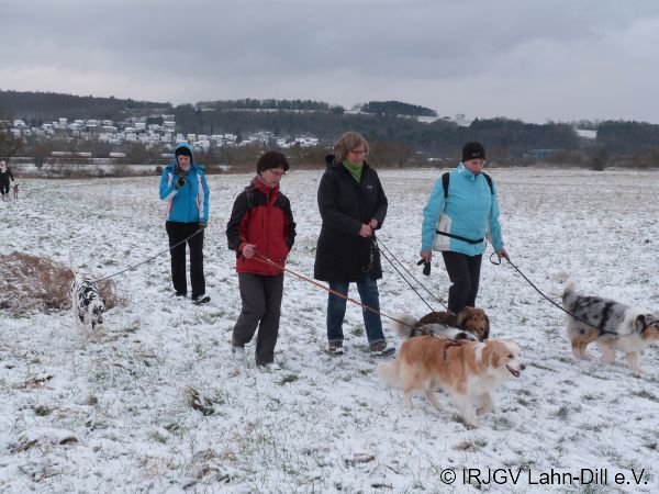 Winterwanderung 17.01.2016