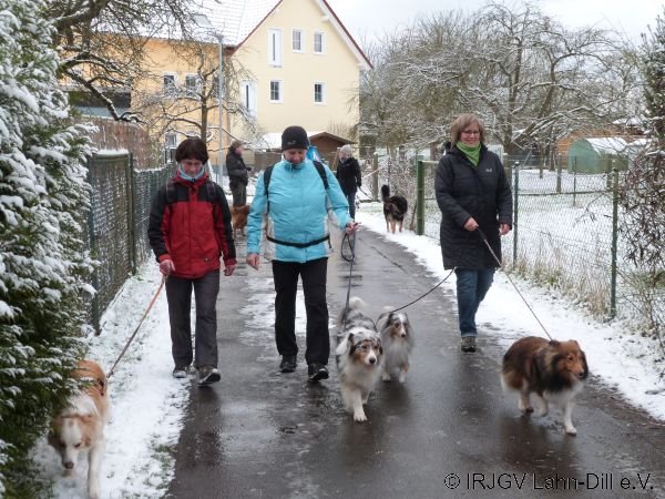 Winterwanderung 17.01.2016