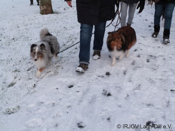 Winterwanderung 17.01.2016